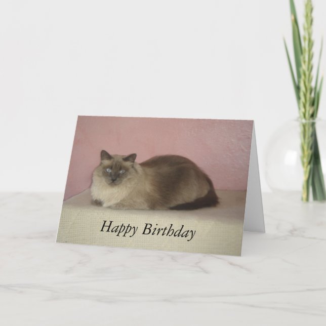 Katten jamar födelsedag kort (Framsida)