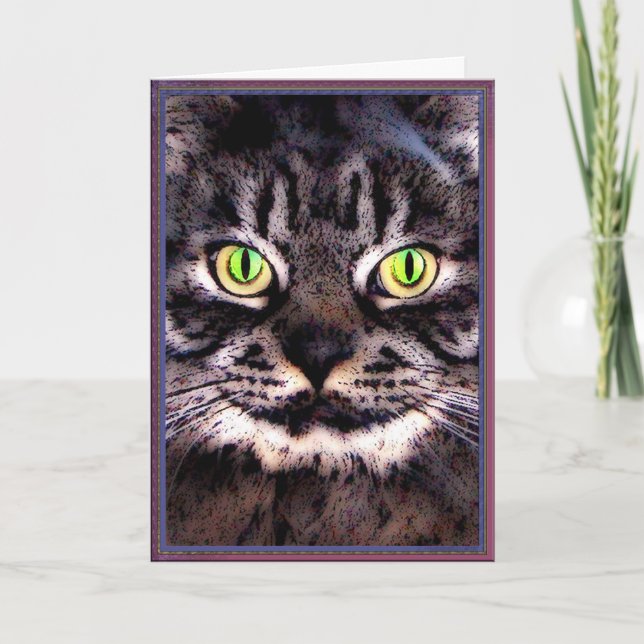 Katten jamar kort (Framsida)