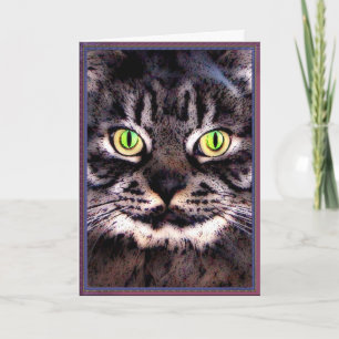 Katten jamar kort