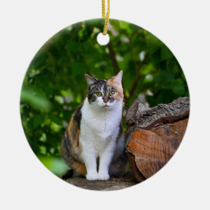 Katten julgransprydnad keramik