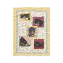 Katten kattungar returnerar sött hem