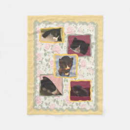 Katten kattungar returnerar sött hem fleecefilt