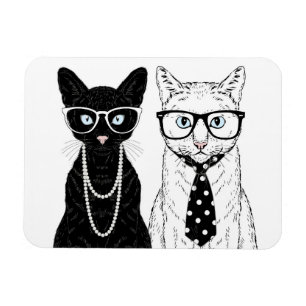 Katten kopplar ihop magnet