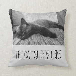 Katten lyfter hit kudde