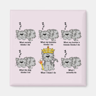 Katten Magnet