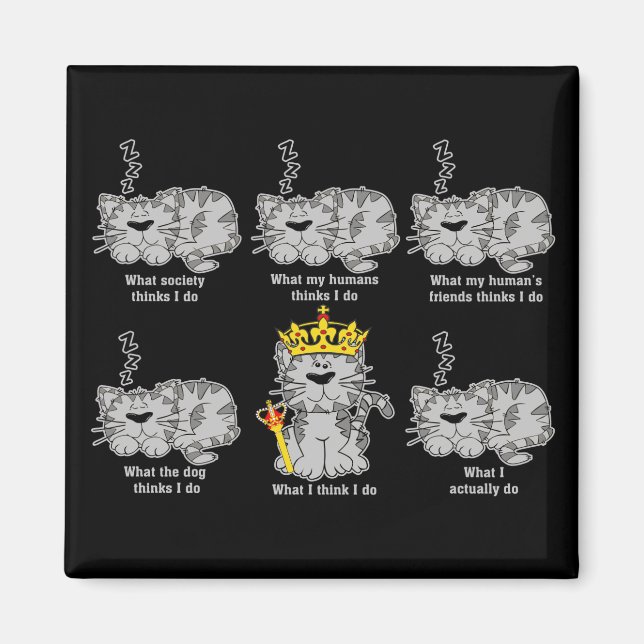 Katten Magnet (Framsidan)