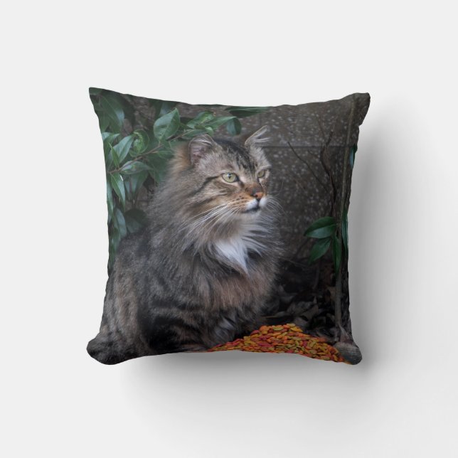 Katten med en tacksam hjärta kudder kudde (Framsida)