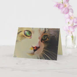 Katten med gröna ögon i en flyktig blick kort