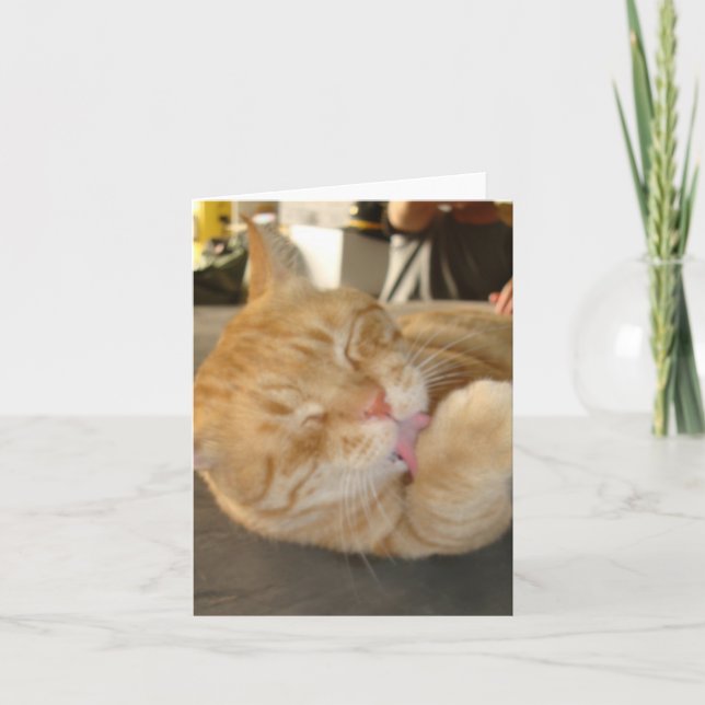 KATTEN NOTERAR CARD-BLANK KORT (Framsida)
