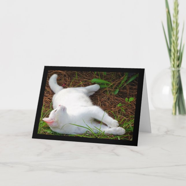 Katten och flugan kort (Framsida)
