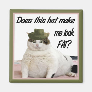 Katten och hattmagneten magnet