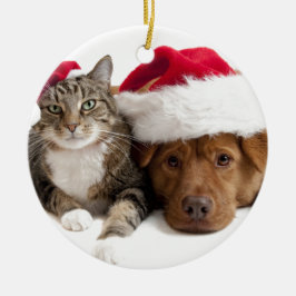 Katten och hunden önskar god jul julgransprydnad keramik