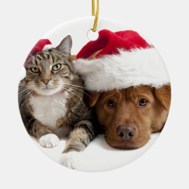 Katten och hunden önskar god jul julgransprydnad keramik (Framsidan)