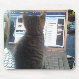 Katten och musen vadderar musmatta