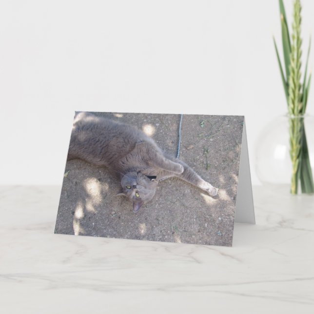 Katten önskar födelsedagtårtan! kort (Framsida)