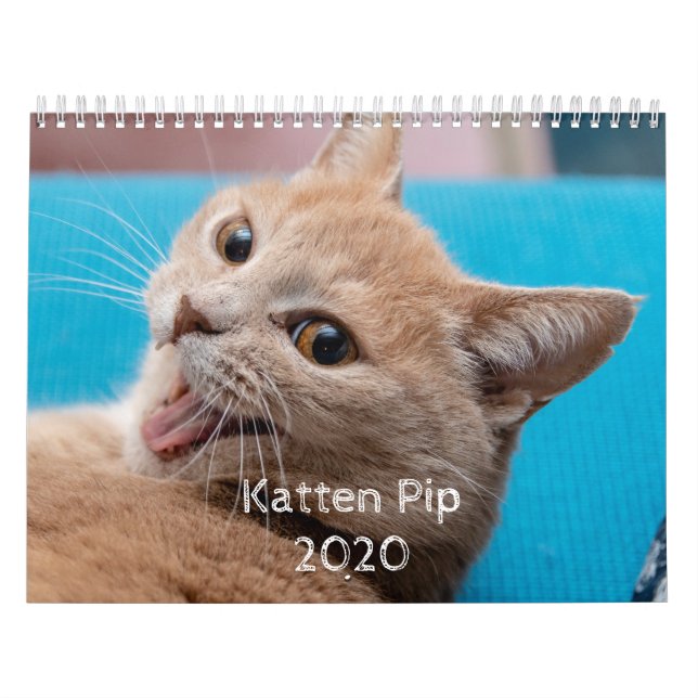 Katten Pip - Kalender för 2020 (Omslag)