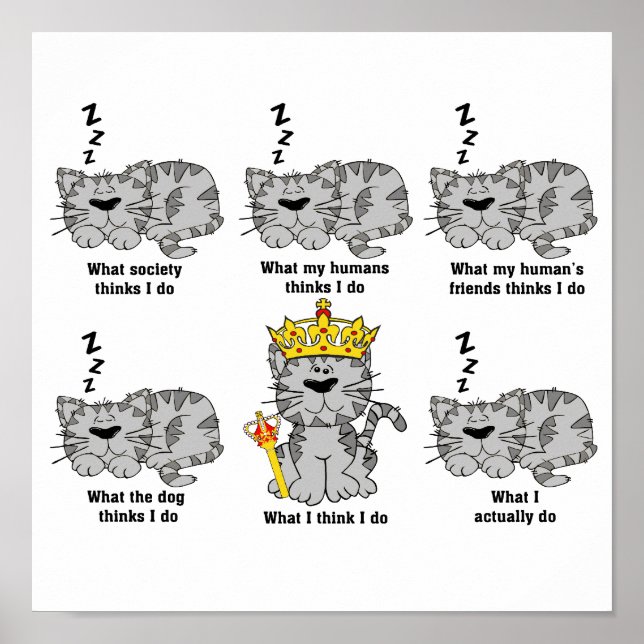 Katten Poster (Framsidan)