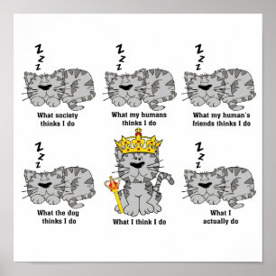 Katten Poster