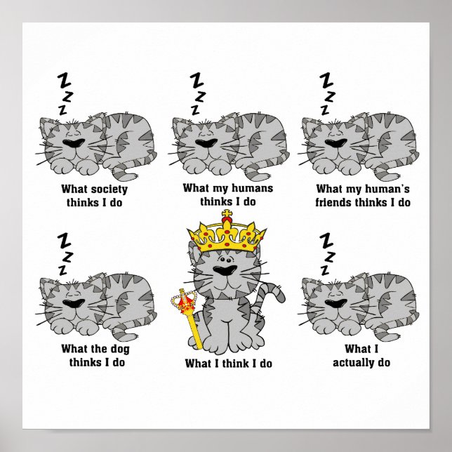 Katten Poster (Framsidan)