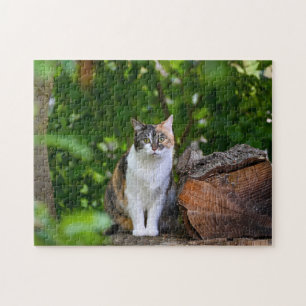 Katten Pussel