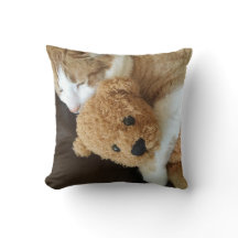 Katten rymmer den gammala nallen