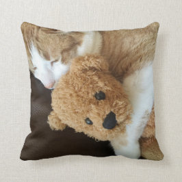 Katten rymmer den gammala nallen kudde