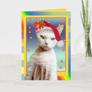 Katten Santa för kort Rex jamar jul