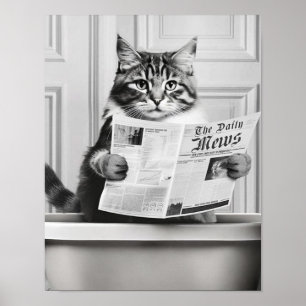 Katten sitter på toaletten, katt läser nyheter poster