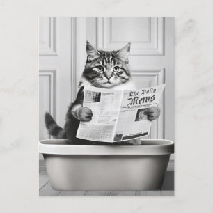 Katten sitter på toaletten, katt läser nyheter vykort