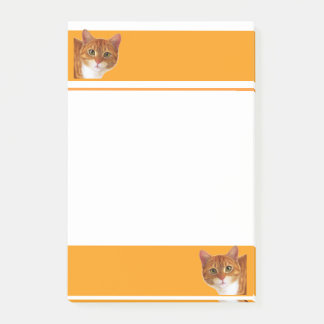 Katten som älskare postar den, noterar post-it block