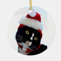Katten som ha på sig den santa hatten,