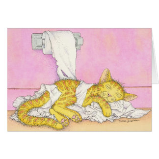 KATTEN sovar i toalettpapper OBS Kort