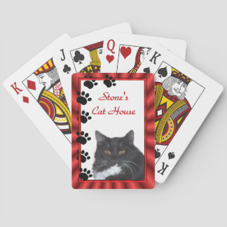Katten spårar att leka kort - personifiera casinokort