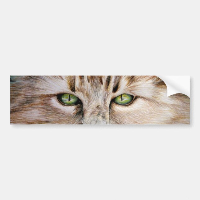 Katten synar bildekalet bildekal (Framsidan)