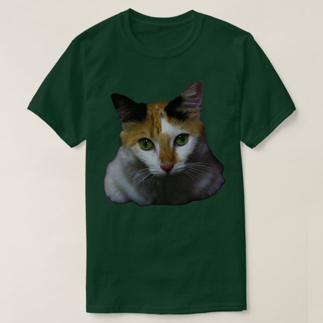 katten t shirt (Design framsida)