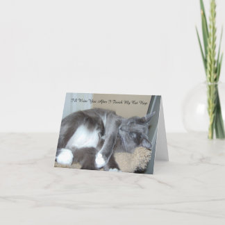 Katten ta sig en tupplur kortet kort