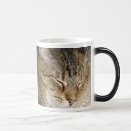 Katten ta sig en tupplur morfkoppen magisk mugg
