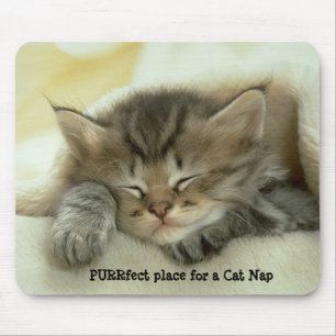 Katten ta sig en tupplur Mousepad Musmatta