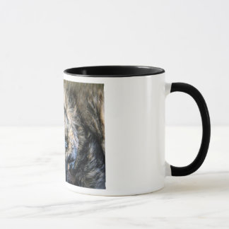 Katten ta sig en tupplur muggen mugg