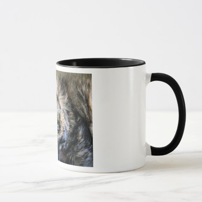 Katten ta sig en tupplur muggen mugg (Höger)