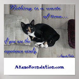 Katten ta sig en tupplur poster