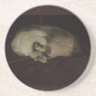 Katten ta sig en tupplur underlägg