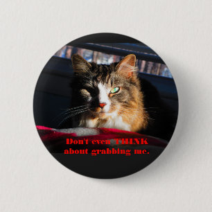 Katten tänker inte ens om att gripa mig knapp