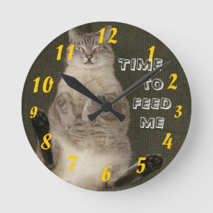 Katten "TIME som MATAR MIG" väggen, tar tid på Rund Klocka