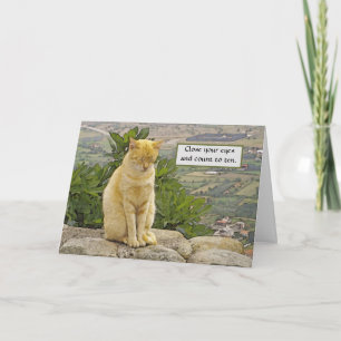 KATTEN UTFÖRD PÅ STEN, ÖGON CLOSED, HUMOR, FRIENDS KORT