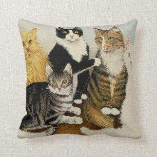 Katten vaggar kudde