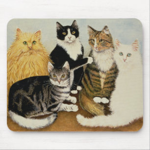 Katten vaggar musmatta