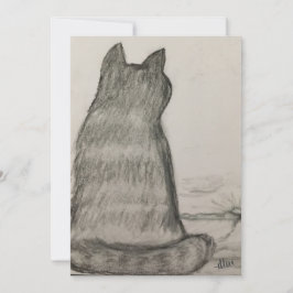Katten vakar över oss tack kort