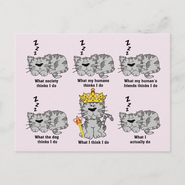 Katten Vykort (Framsida)