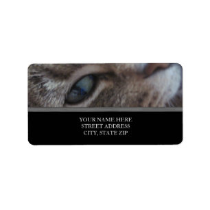 Kattens Adressetiketter Öga